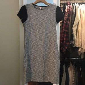 NWT Merona Dress